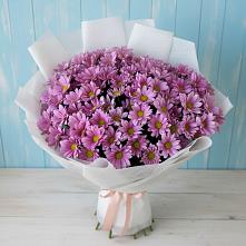 Букет цветов из:  Хризантемы #REPLACE_PRED# Горные Ключи