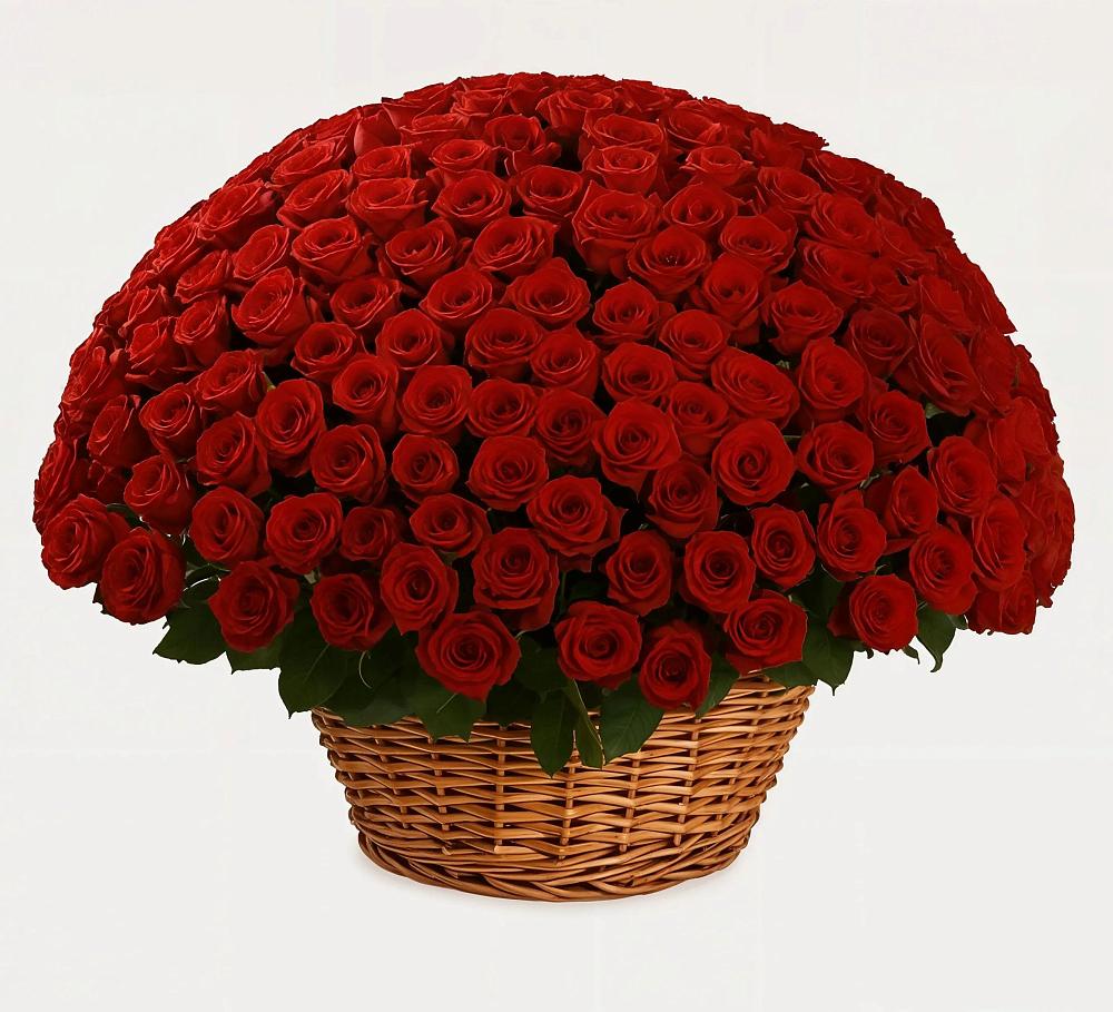 251 Премиум красная роза в Горные Ключи Премиум букет из: Розы в Горные Ключи